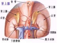肾上腺皮质功能不全
