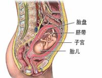 产科并发疾病