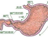 内科疾病