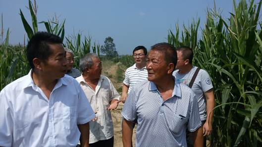 image001.jpg image001.jpg