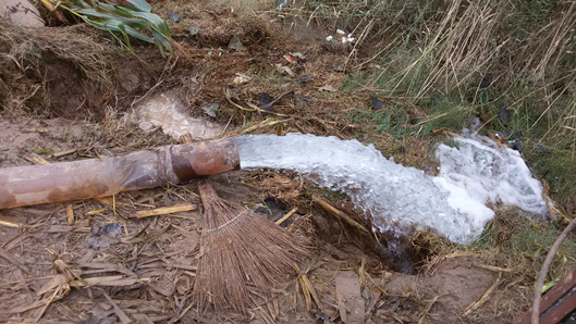 wps9D.tmp.png wps9D.tmp.png