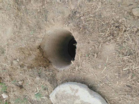 wpsA2.tmp.png wpsA2.tmp.png