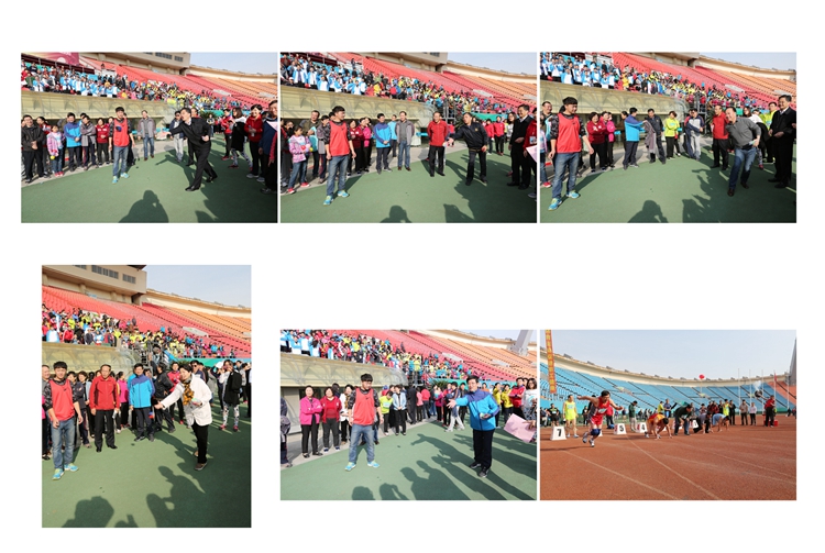 联系表-003.jpg 联系表-003.jpg